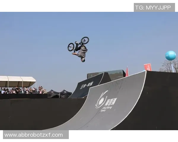 成都极限运动队运营分析与反思探讨极限运动发展的机遇与挑战